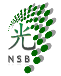20151101 NSB Logo